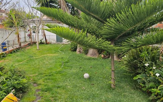 RESERVADO Moradia T4 com piscina